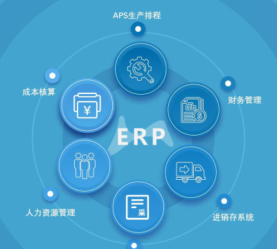 2024年什么专业会学erp