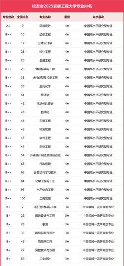 2025年安徽开设勘查技术与工程专业的学校排名