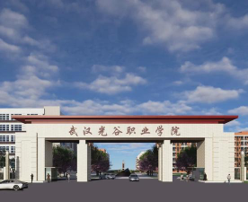 武汉光谷职业学院环境