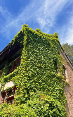北京大学阅读区