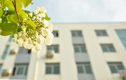 攀枝花市第六中学